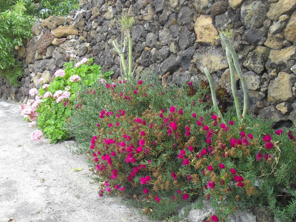 Casa Rural Abuelo Pancho Las Casas  Bagian luar foto